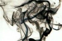 How Can Women Attract Men With Vanille Insensee Perfume