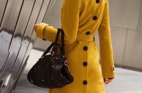 Fashion Accessories to Accentuate Your Look