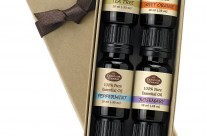 How to Make Pheromone Love Potion